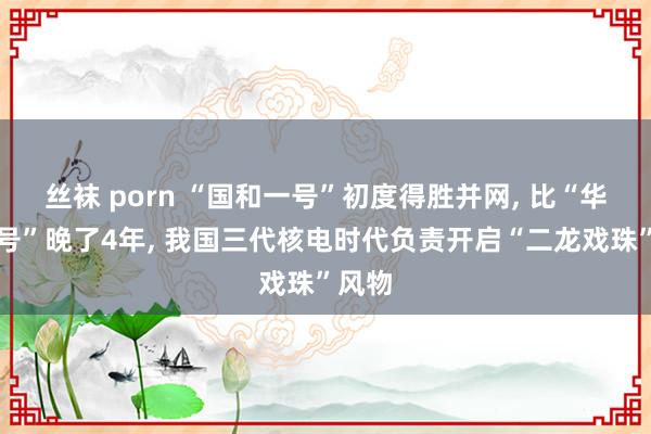 丝袜 porn “国和一号”初度得胜并网， 比“华龙一号”晚了4年， 我国三代核电时代负责开启“二龙戏珠”风物