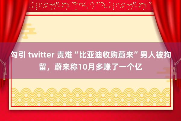 勾引 twitter 责难“比亚迪收购蔚来”男人被拘留，蔚来称10月多赚了一个亿