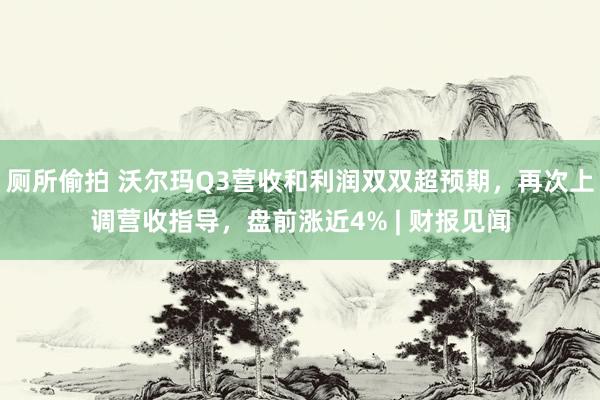厕所偷拍 沃尔玛Q3营收和利润双双超预期，再次上调营收指导，盘前涨近4% | 财报见闻