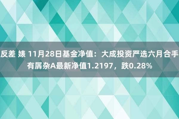 反差 婊 11月28日基金净值：大成投资严选六月合手有羼杂A最新净值1.2197，跌0.28%