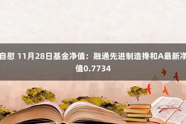 自慰 11月28日基金净值：融通先进制造搀和A最新净值0.7734