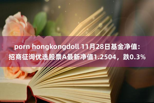porn hongkongdoll 11月28日基金净值：招商征询优选股票A最新净值1.2504，跌0.3%