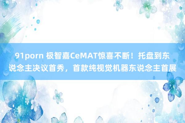 91porn 极智嘉CeMAT惊喜不断！托盘到东说念主决议首秀，首款纯视觉机器东说念主首展