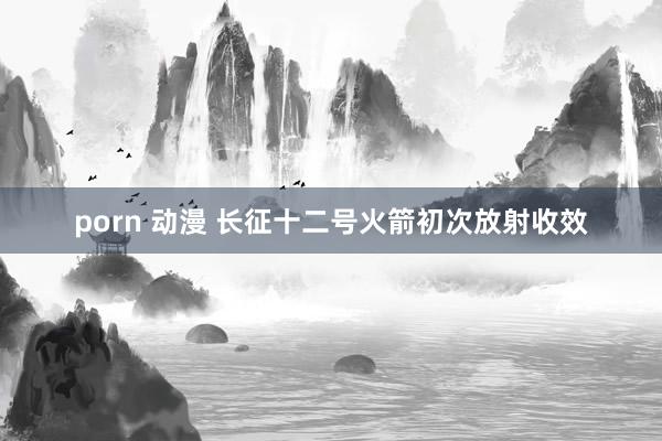 porn 动漫 长征十二号火箭初次放射收效