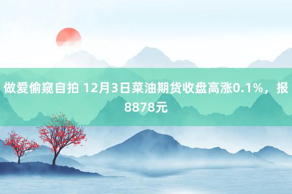 做爱偷窥自拍 12月3日菜油期货收盘高涨0.1%，报8878元