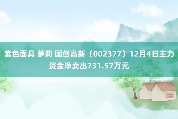 紫色面具 萝莉 国创高新（002377）12月4日主力资金净卖出731.57万元