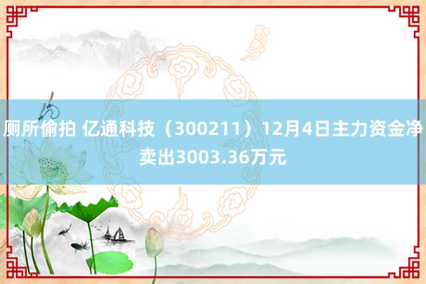 厕所偷拍 亿通科技（300211）12月4日主力资金净卖出3003.36万元