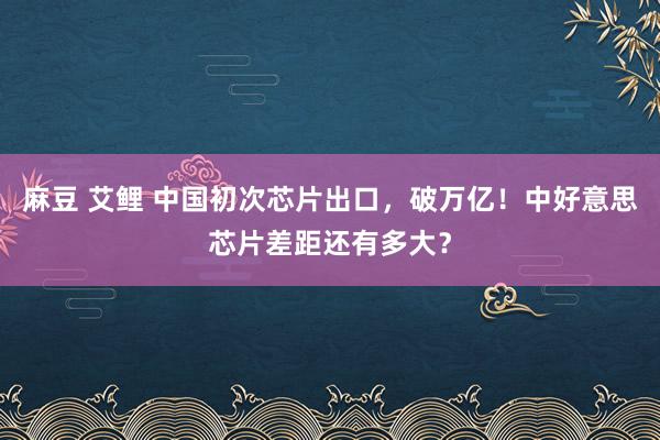 麻豆 艾鲤 中国初次芯片出口，破万亿！中好意思芯片差距还有多大？