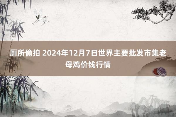 厕所偷拍 2024年12月7日世界主要批发市集老母鸡价钱行情