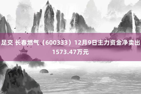 足交 长春燃气（600333）12月9日主力资金净卖出1573.47万元