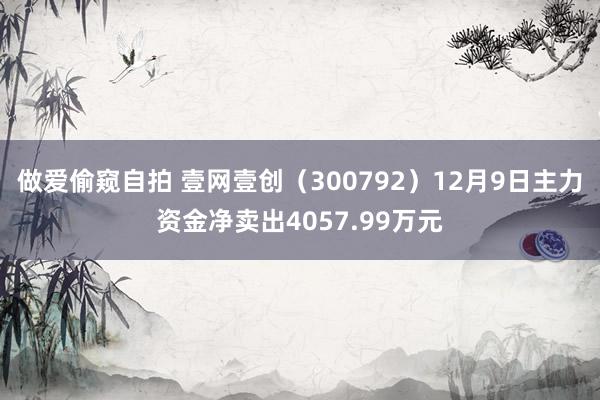 做爱偷窥自拍 壹网壹创（300792）12月9日主力资金净卖出4057.99万元