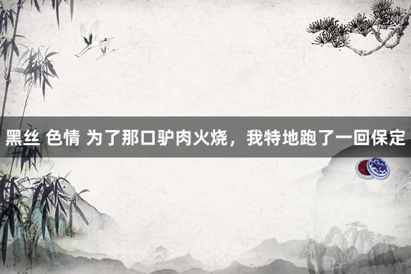 黑丝 色情 为了那口驴肉火烧，我特地跑了一回保定