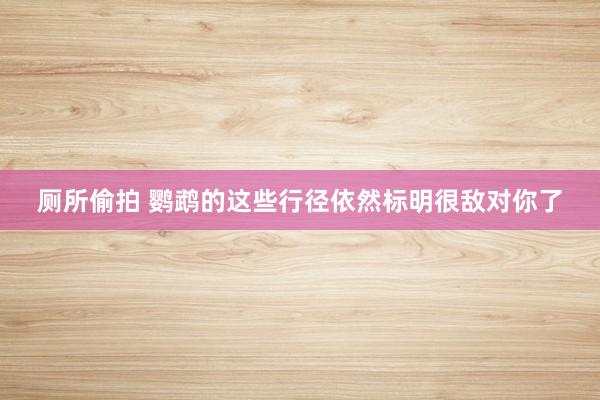 厕所偷拍 鹦鹉的这些行径依然标明很敌对你了