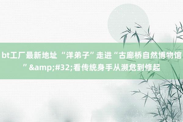 bt工厂最新地址 “洋弟子”走进“古廊桥自然博物馆”&#32;看传统身手从濒危到修起
