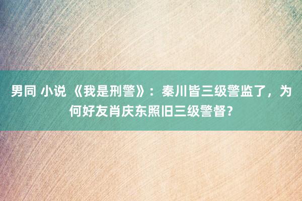 男同 小说 《我是刑警》：秦川皆三级警监了，为何好友肖庆东照旧三级警督？