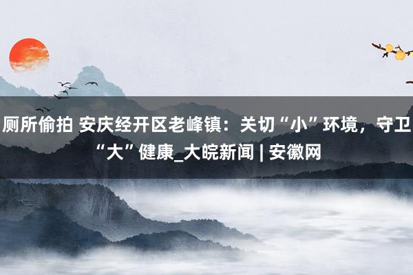 厕所偷拍 安庆经开区老峰镇：关切“小”环境，守卫“大”健康_大皖新闻 | 安徽网