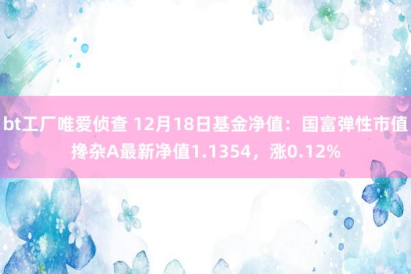 bt工厂唯爱侦查 12月18日基金净值：国富弹性市值搀杂A最新净值1.1354，涨0.12%