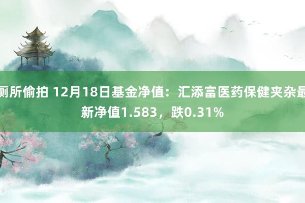 厕所偷拍 12月18日基金净值：汇添富医药保健夹杂最新净值1.583，跌0.31%