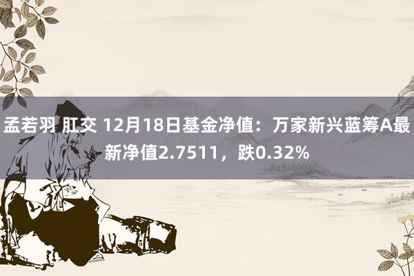 孟若羽 肛交 12月18日基金净值：万家新兴蓝筹A最新净值2.7511，跌0.32%