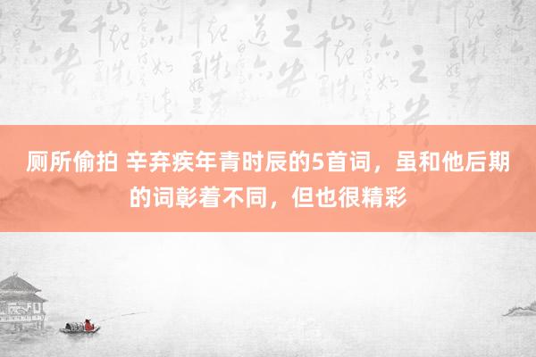 厕所偷拍 辛弃疾年青时辰的5首词，虽和他后期的词彰着不同，但也很精彩