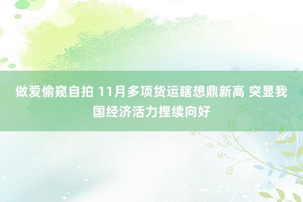 做爱偷窥自拍 11月多项货运瞎想鼎新高 突显我国经济活力捏续向好