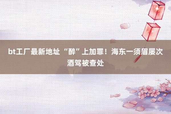 bt工厂最新地址 “醉”上加罪！海东一须眉屡次酒驾被查处