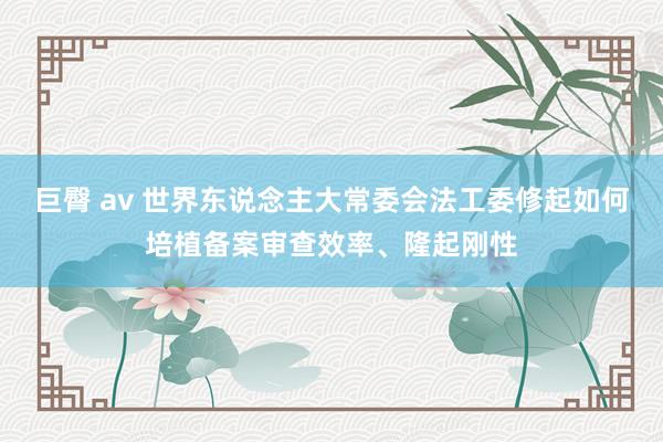 巨臀 av 世界东说念主大常委会法工委修起如何培植备案审查效率、隆起刚性