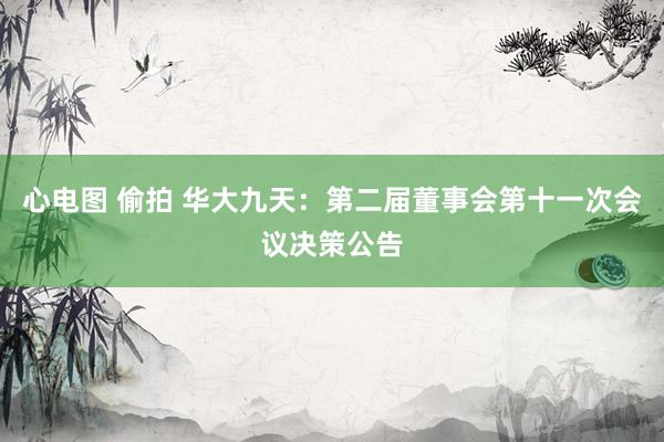 心电图 偷拍 华大九天：第二届董事会第十一次会议决策公告
