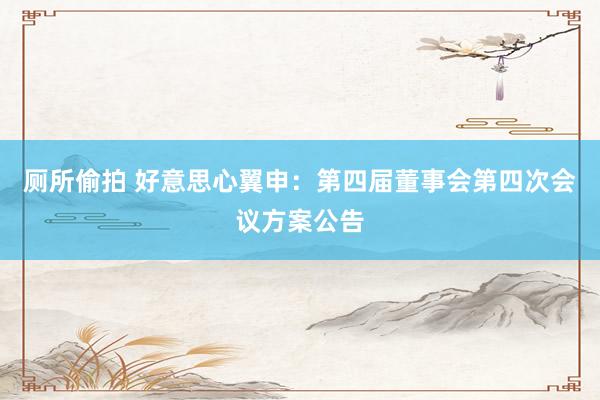 厕所偷拍 好意思心翼申：第四届董事会第四次会议方案公告