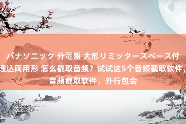 パナソニック 分電盤 大形リミッタースペース付 露出・半埋込両用形 怎么截取音频？试试这5个音频截取软件，外行包会