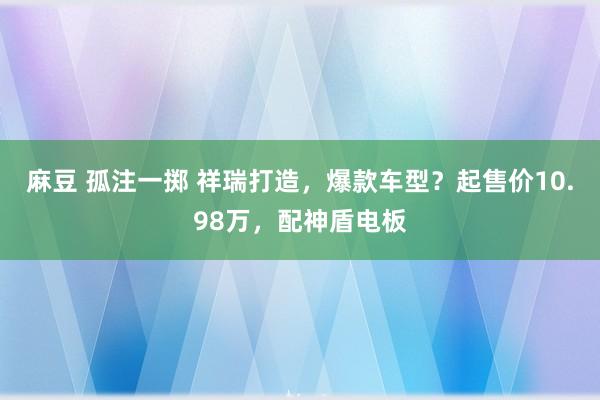 麻豆 孤注一掷 祥瑞打造，爆款车型？起售价10.98万，配神盾电板