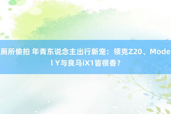 厕所偷拍 年青东说念主出行新宠：领克Z20、Model Y与良马iX1皆很香？