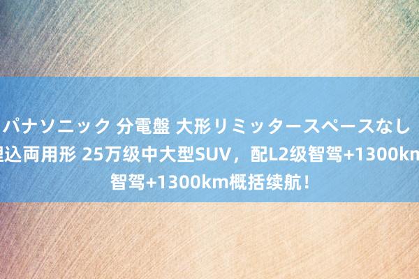 パナソニック 分電盤 大形リミッタースペースなし 露出・半埋込両用形 25万级中大型SUV，配L2级智驾+1300km概括续航！