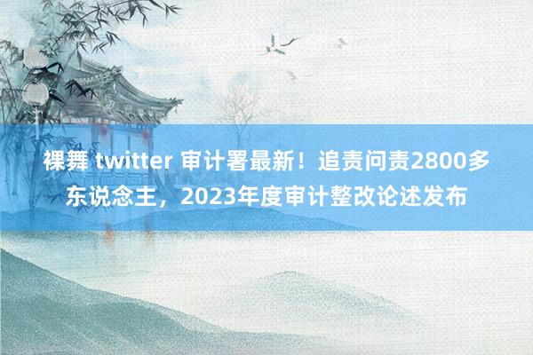 裸舞 twitter 审计署最新！追责问责2800多东说念主，2023年度审计整改论述发布