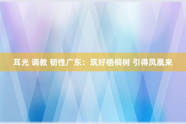 耳光 调教 韧性广东：筑好梧桐树 引得凤凰来