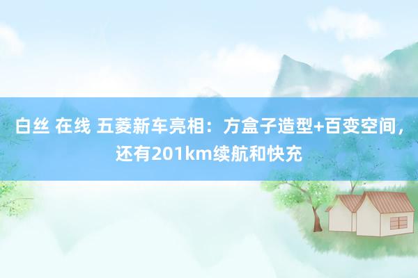 白丝 在线 五菱新车亮相：方盒子造型+百变空间，还有201km续航和快充