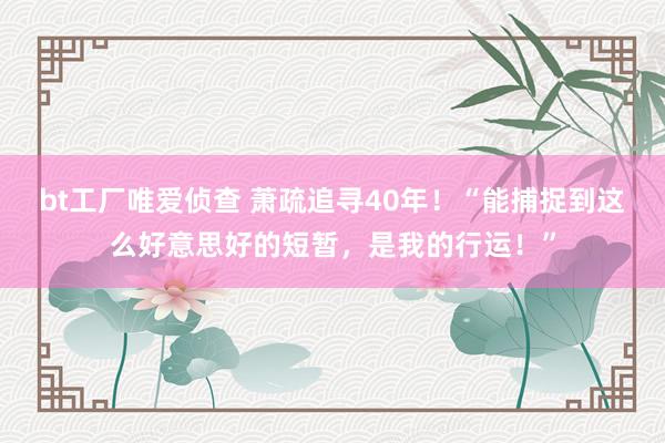 bt工厂唯爱侦查 萧疏追寻40年！“能捕捉到这么好意思好的短暂，是我的行运！”