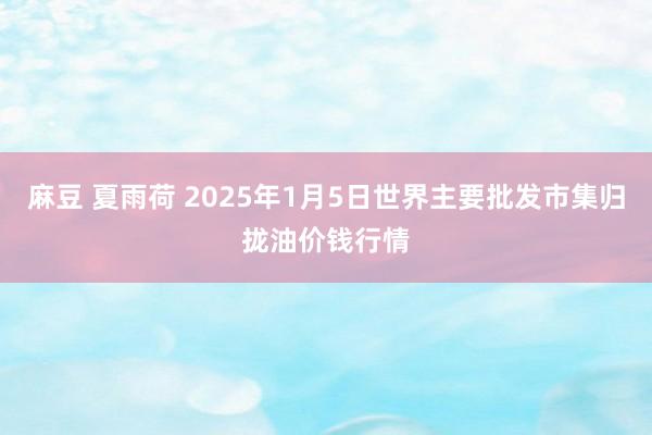 麻豆 夏雨荷 2025年1月5日世界主要批发市集归拢油价钱行情