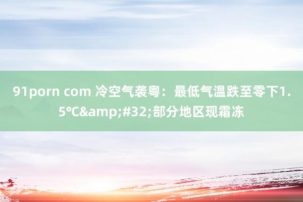 91porn com 冷空气袭粤：最低气温跌至零下1.5℃&#32;部分地区现霜冻