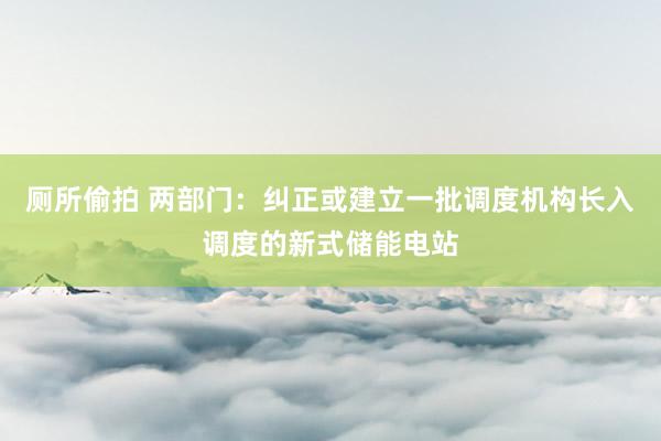 厕所偷拍 两部门：纠正或建立一批调度机构长入调度的新式储能电站