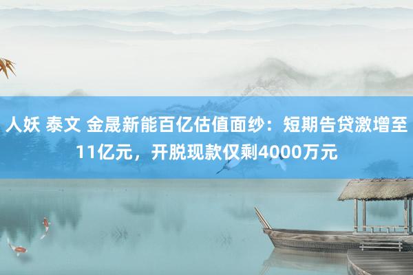 人妖 泰文 金晟新能百亿估值面纱：短期告贷激增至11亿元，开脱现款仅剩4000万元
