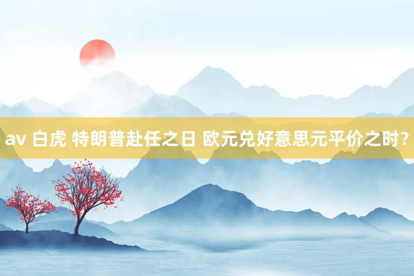 av 白虎 特朗普赴任之日 欧元兑好意思元平价之时？