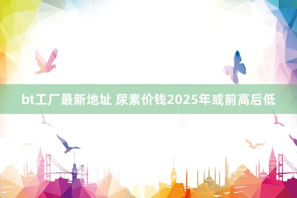 bt工厂最新地址 尿素价钱2025年或前高后低