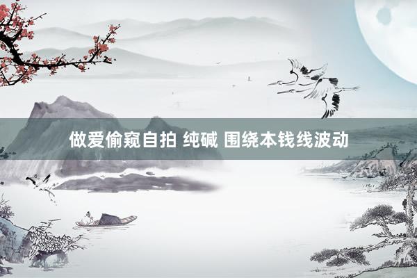 做爱偷窥自拍 纯碱 围绕本钱线波动