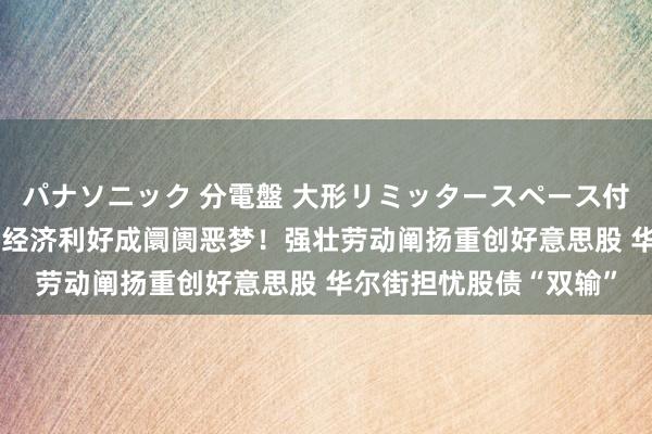 パナソニック 分電盤 大形リミッタースペース付 露出・半埋込両用形 经济利好成阛阓恶梦！强壮劳动阐扬重创好意思股 华尔街担忧股债“双输”