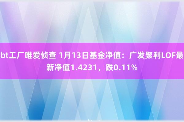 bt工厂唯爱侦查 1月13日基金净值：广发聚利LOF最新净值1.4231，跌0.11%
