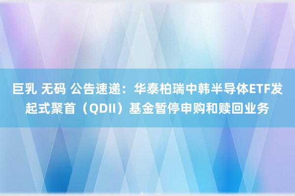 巨乳 无码 公告速递：华泰柏瑞中韩半导体ETF发起式聚首（QDII）基金暂停申购和赎回业务