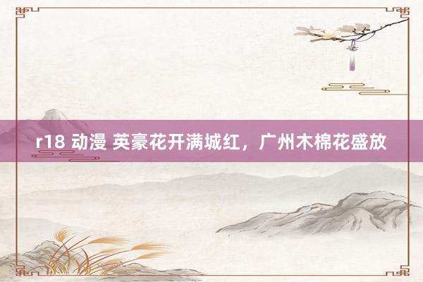 r18 动漫 英豪花开满城红，广州木棉花盛放