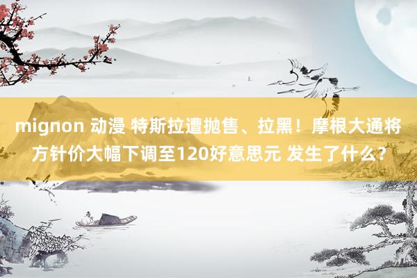 mignon 动漫 特斯拉遭抛售、拉黑！摩根大通将方针价大幅下调至120好意思元 发生了什么？