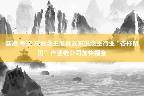 霸凌 拳交 东说念主形机器东说念主行业“各抒所见” 产业链公司加快掘金